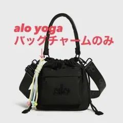 名古屋限定 goold golf rockers 氷嚢 氷のう ice bag - メルカリ