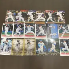 埼玉西武ライオンズトレーディングカード 15枚セット