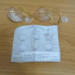 うちの子のけだまだま 柴犬 プードル