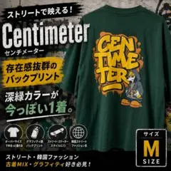 Centimeter バックプリントT グラフィティ ストリート Y2k