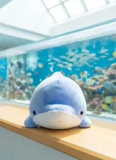 八景島シーパラダイス シーパラくじ 3等 イルカ ぬいぐるみ もちもち ブルー