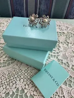 TIFFANY ティファニー デイジー フラワー ピアス シルバー 箱 保管袋有