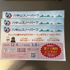 六甲山スノーパーク　雪ゾリ無料レンタル券　３枚