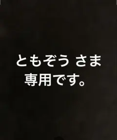 ともぞう さま専用です。　stussy ドッグタグ