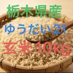 【新米】令和7年 昔ながらの「稲架掛け米」天日干し ササニシキ 白米 10Kg 令和7年産｜岩手・花巻産 ササニシキ 白米10kg｜稲架掛け天日干しで