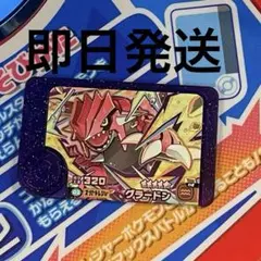 ポケモン フレンダ ベストタッグ2弾 グラードン スーパートレジャー