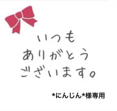 *にんじん*様専用