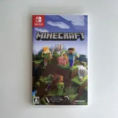 Switch Minecraft