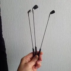 Item thumbnail for item 499c15d3-3325-4a06-a42d-68957b827739