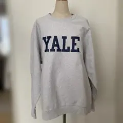 yale チャンピオン