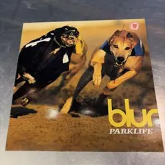 2026年最新】PARKLIFE レコードの人気アイテム - メルカリ