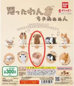 トイプードル カプセルトイ