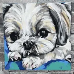 シーズー　犬　イラスト