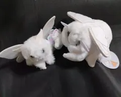 2025年最新】モスのいる日常 ぬいぐるみの人気アイテム - メルカリ