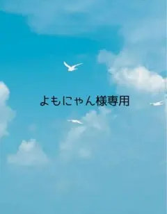よもにゃん様専用　25時セット