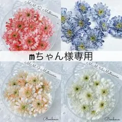 mちゃん様専用です