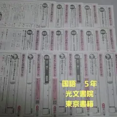 国語５年　令和7年度のサムネイル