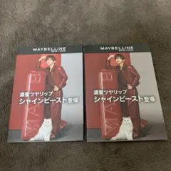 美品　山田涼介 メイベリン シャインビースト　リーフレット2枚セット