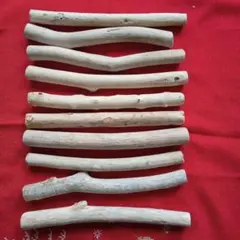 Item thumbnail for item 78601b87-c5b5-49e3-beb1-ec34d7dbd4b4