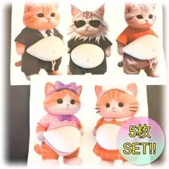 【残り2つ】5枚 おなか ぷにぷに シール 柴犬 立体シール お尻 アイドル 猫