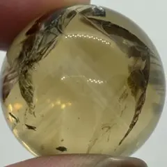 シトリン スフィア ファントム 虹 ゼウス 25mm 天然石