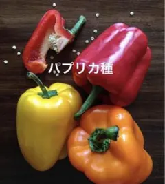 shizu.e様 リクエスト 3点 まとめ商品