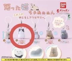 怒った猫ちゃあぁぁん　めじるしアクセサリー