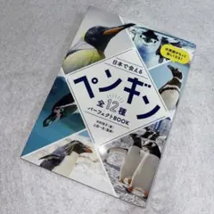 Item thumbnail for item 49ca1f6b-7117-4971-a80b-d9be25e7d5d3