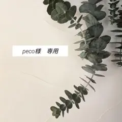 peco様専用　キンポウジュ
