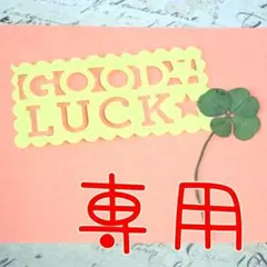 GYOZA_MAN様　専用