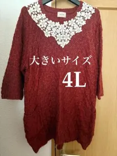 大きいサイズ 4L 華やかニット　ポケット付きニット