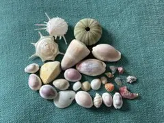 Item thumbnail for item e5b59647-1e55-4fb4-b749-26c66114c72e