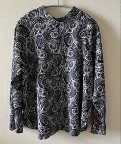 Item thumbnail for item 25d87fa8-e060-4353-a770-53126f739661