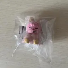 skzoo ライトマスコット トェッキ①