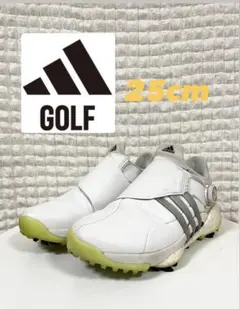 【美品‼️】adidas TOUR360 ゴルフシューズ 25cm