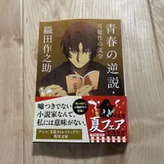 青春の逆説・可能性の文学
