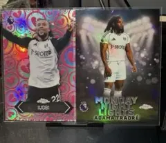 Item thumbnail for item 48a603c4-9a44-40e0-a871-1070cf99a91d