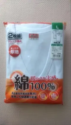 綿100% あったか厚地 Tシャツ Lサイズ 2枚組