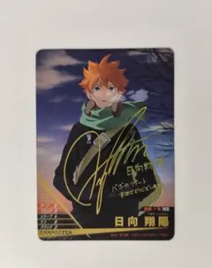 ハイキュー バボカ 日向翔陽 サイン HV-P01-001 4-1/767