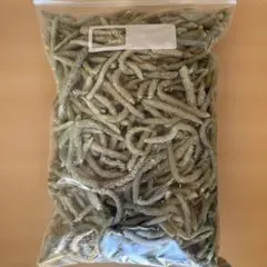 Item thumbnail for item 2996a5ec-5422-417a-88dc-2ebc55a88744