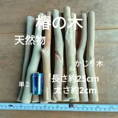 椿の木 天然物　かじり木　約 2㎝　長さ約25㎝　木の枝　インテリアlのサムネイル