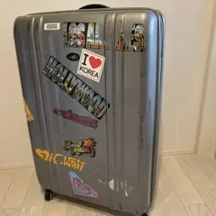 ZEROゼロキャリーケース シルバー