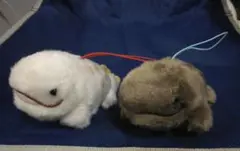 オオサンショウウオ　マスコット　ぬいぐるみ　オーさんしょうさん
