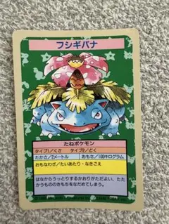 フシギダネ　フシギソウ　フシギバナ　トップサン　エラー　psa8 など　連番 フシギダネ フシギソウ フシギバナ トップサン エラー psa8 など