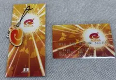 Ryu☆ AGEHA ストラップ＆フェイクカード