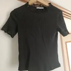 ZARA Trafaluc 半袖カットソー Sサイズ