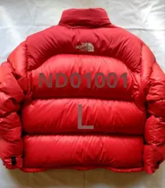 ✨超希少・極美品✨ノースフェイス　ヌプシ　センターロゴ　Ｌ　ND01001