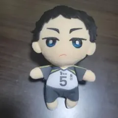 ハイキュー‼︎ ともぬいvol.2　赤葦京治　ぬいぐるみ