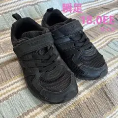 瞬足 スニーカー 18.0EEサイズ
