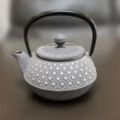 岩鋳 IWACHU アンシャンテ・ジャポン 南部鉄器ティーポット カモミール